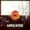 Love Buzz � Sign On My Skin